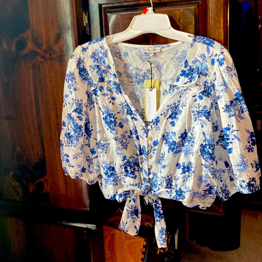 Cupcakes and cashmere, large blue and white crop top